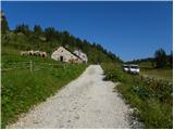 Palafavera - Rifugio Sonino al Coldai